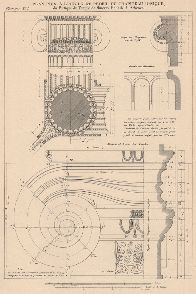 IONIC ARCHITECTURE. Temple of Minerva Polias, Athens. Details of Capital 1931